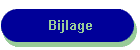 Bijlage